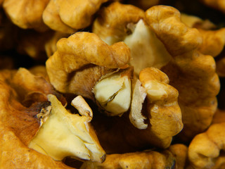 walnut isolated on white background