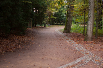 Promenade automnale au parc