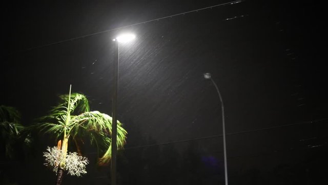 Rain Pours At Night During Approaching Hurricane - Goni