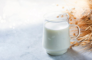 Lactose-free oat milk in a glass cup on a light background. Allergic food concept.