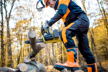 Professional lumberjack in protective workwear working with a chainsaw in the forest, sawing a...