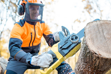 Professional lumberjack in protective workwear working with a chainsaw in the forest, sawing a...