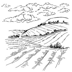 Landscape ink sketch drawing. Rural mediterranean engraved landscape with plowed fields, cypresses and pine tree.Countryside landscape with hills, fields, trees.