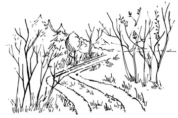 Sketch path in the forest. Hand drawn Ink foggy forest road. Road in countryside, Hand drawn landscape