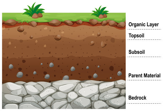 Diagram showing different layers of soil