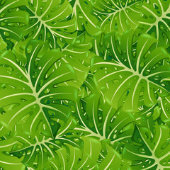 Fototapeta na wymiar Background template with green leaves