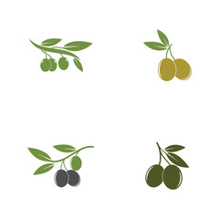 Set of Olive logo template vector icon illustration
