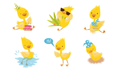 Cute Set With Yellow Chickens In Different Poses Vector Illustration Cartoon Character