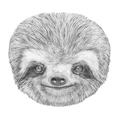 Portrait of Sloth. Hand-drawn illustration. Vector isolated elements.	