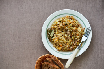 Stewed cabbage with minced meat on a white plate