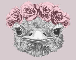 Portrait of Ostrich with floral head wreath. Hand-drawn illustration. Vector isolated elements.	