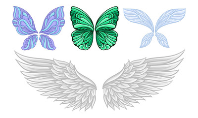 Fototapeta na wymiar Set of wings of different butterflies and a swan. Vector illustration.