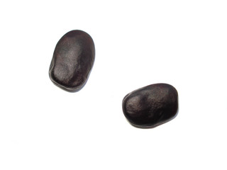 Vicia Faba, Broad Beans. Russian black beans. Two ripe grains.