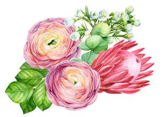 greeting card, bouquet of flowers, tropical flowers, ranunculus, protea, chamelaucium, monstera, watercolor illustration