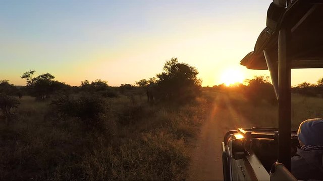 Sunset View From Ride In Kruger Park Adventure In South Africa