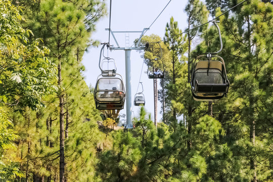 Lush Green Pine Trees Forest Landscape and Patriata Chairlift, New Murree, Punjab, Pakistan