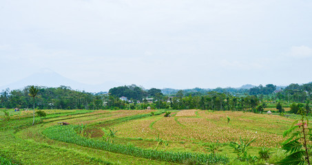 Fototapeta na wymiar green fields on hills next to small settlement