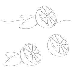 Orange fruit illustration. One continuous line minimal style. Vector