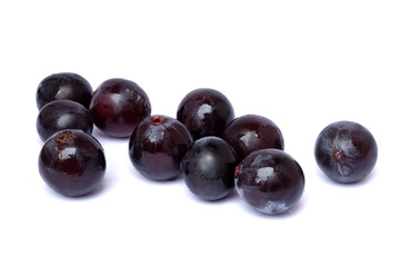 Close up of brunches black seedless grapes