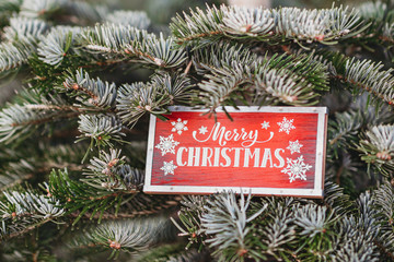 Close Up of a Pine Tree branch at a Christmas Tree Farm. Wood Merry Christmas sign hanging on a Christmas Tree branch. Red Christmas Tree decoration. Winter holidays mood.