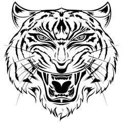 Angry tiger silhouette, ink vector illustration.