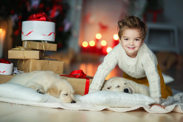 Cute baby with a white golden labrador on the background of Christmas decorations.