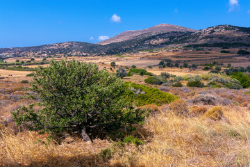 landscape in Greece