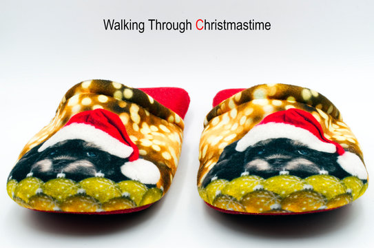 Walking through christmastime. Christmas holiday concept