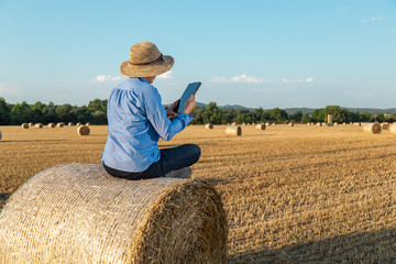 Naklejka na ściany i meble woman sitting on a straw bale reading on a tablet