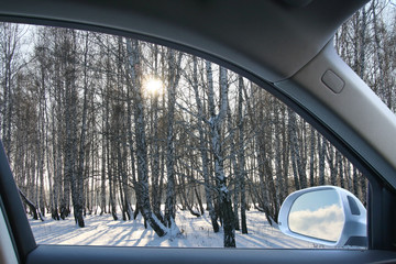View from the Car Window on the Winter Forest