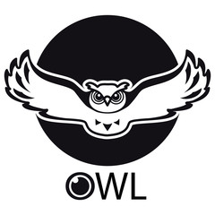 Conceptual owl logo. Concept for CCTV, security, detective agencies, military units