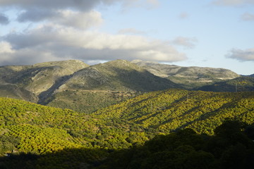 clouds forest autumn otoño en el valle del genal serraria de ronda malaga andalucia  españa
