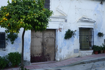 casa  cartajima otoño en el valle del genal serraria de ronda malaga andalucia  españa
