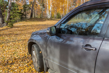car on a glade in the autumn forest