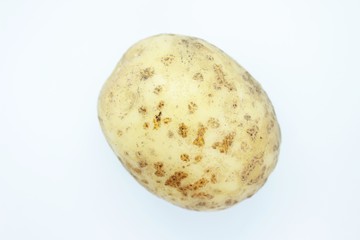 Potato tuber located on a white background
