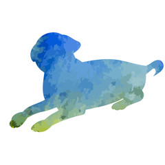 silhouette of a blue dog