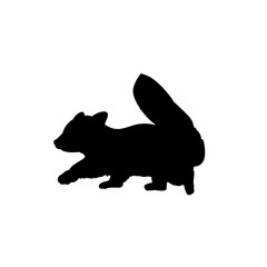 Silhouette of little red Panda. Cute young animal.