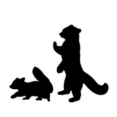 Silhouette of red Panda and young little red Panda