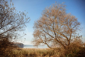 Landscape of a sunny day on a lake with a forest island reflected in the water