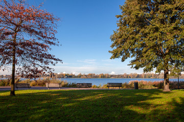 View on the skyline of Rotterdam as seen from the Kralingse Bos