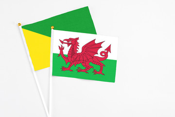 Wales and French Guiana stick flags on white background. High quality fabric, miniature national flag. Peaceful global concept.White floor for copy space.