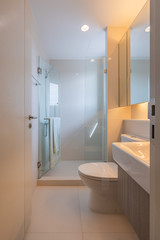 Modern toilet bathroom with sector standing shower cabin interior decoration