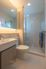 Modern toilet bathroom with sector standing shower cabin interior decoration