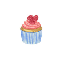 Watercolor illustration of a hand drawn pastry, a cupcake on the white background, sweet dessert