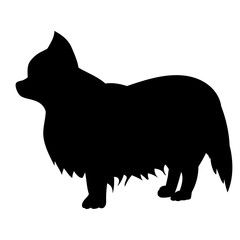 vector, on a white background, black silhouette of a dog