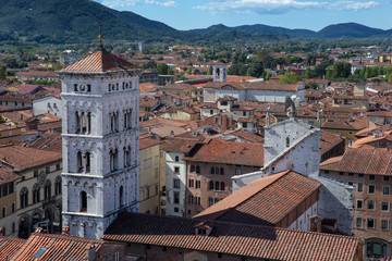 Fototapeta na wymiar Lucca Tuscany Italy. View from the Torre delle Ore, Clocktower . Panoramic view. Tpower