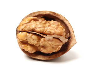 walnuts on a white background