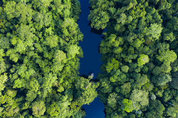 Naklejka premium View from above, stunning aerial view of a tropical rainforest with the Sungai Tembeling River flowing through. Taman Negara National Park, located in Malaysia is the world's oldest rainforest.