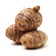 Taro on a white background