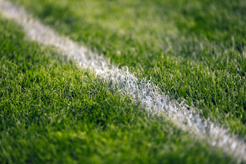 Soccer pitch white line. Grass football field. Close up of sports grass venue